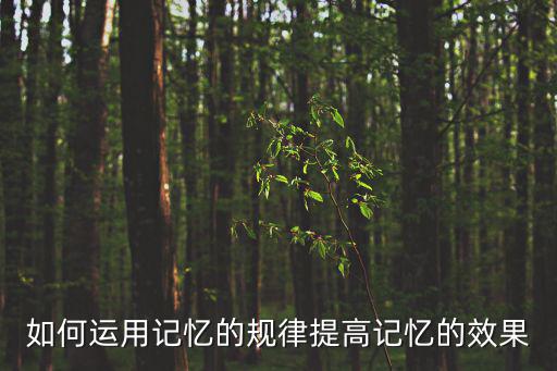 如何運用記憶的規律提高記憶的效果