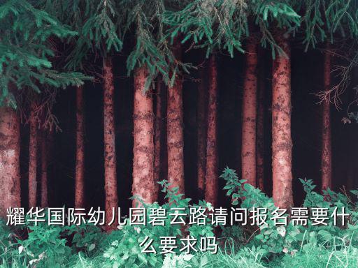 上海耀華國際學校招生條件，上海耀華國際學校招生