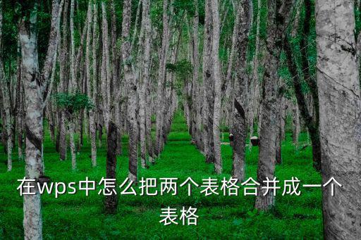 在wps中怎么把兩個表格合并成一個表格