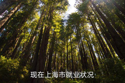 2019年上海市失業率，現在上海市就業狀況