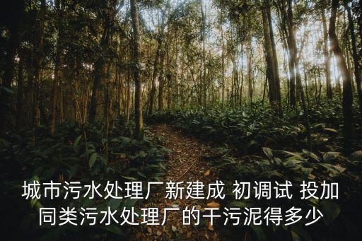 城市污水處理廠新建成 初調試 投加同類污水處理廠的干污泥得多少