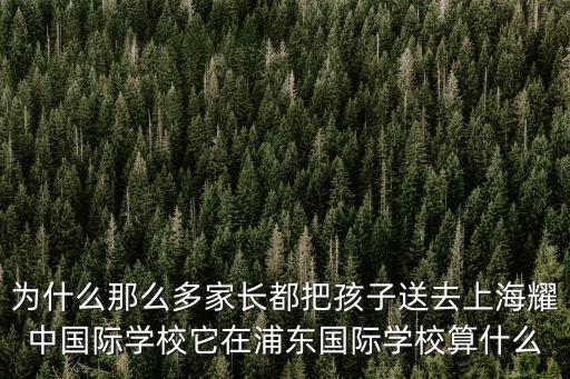 為什么那么多家長都把孩子送去上海耀中國際學(xué)校它在浦東國際學(xué)校算什么