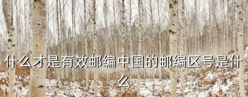 上海市雙橋小區(qū)郵編，金安區(qū)雙橋街道郵編