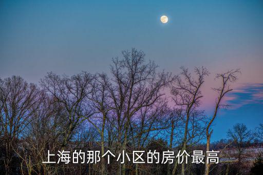 上海東邊是哪個小區房價，上海浦東新區房價一般在多少