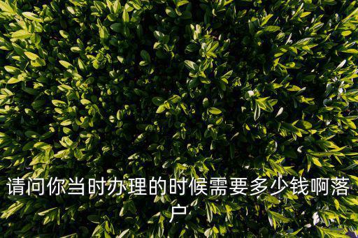 請問你當時辦理的時候需要多少錢啊落戶