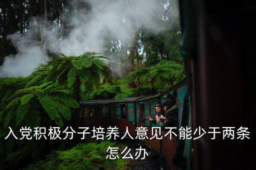 入黨積極分子培養人意見不能少于兩條怎么辦
