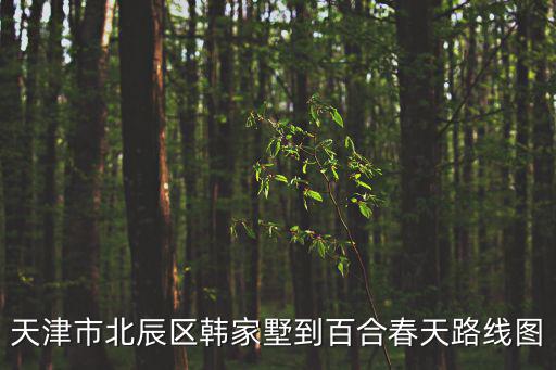天津市北辰區(qū)調線工程圖，天津的地鐵
