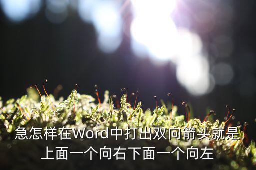 急怎樣在Word中打出雙向箭頭就是上面一個向右下面一個向左