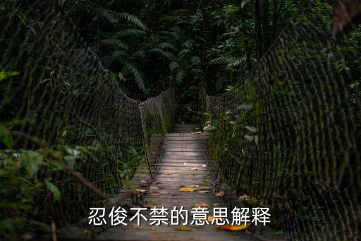 忍俊不禁的意思解釋