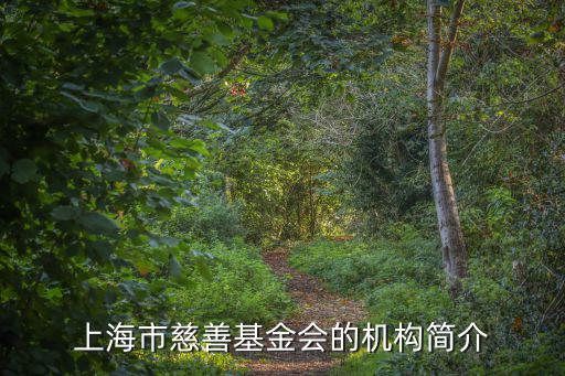 上海市慈善基金會(huì)的機(jī)構(gòu)簡(jiǎn)介