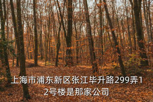 上海市愚園路 78弄，上海市浦東新區(qū)張江畢升路299弄12號樓是那家公司