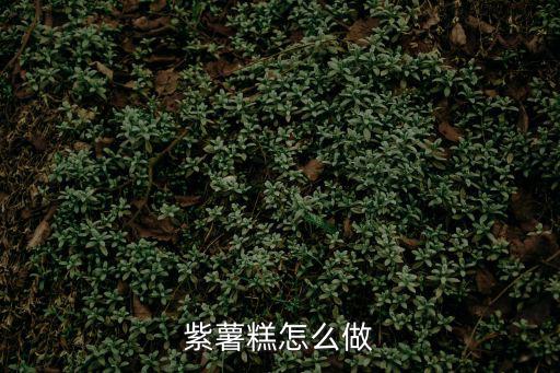 紫薯糕怎么做
