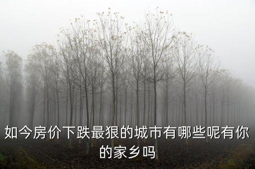 如今房價下跌最狠的城市有哪些呢有你的家鄉嗎