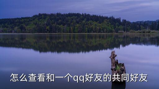 怎么查看和一個qq好友的共同好友