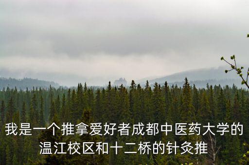 我是一個推拿愛好者成都中醫藥大學的溫江校區和十二橋的針灸推