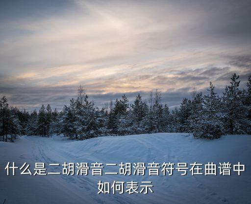 下滑音記號(hào),沒有線音符是四分音符什么是二胡滑音