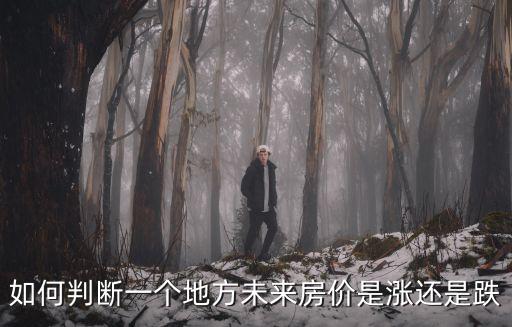 如何判斷一個地方未來房價是漲還是跌