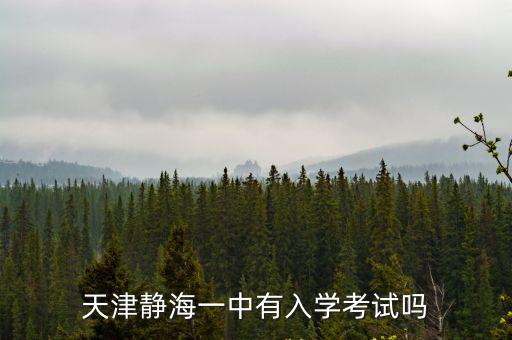 天津靜海一中有入學(xué)考試嗎