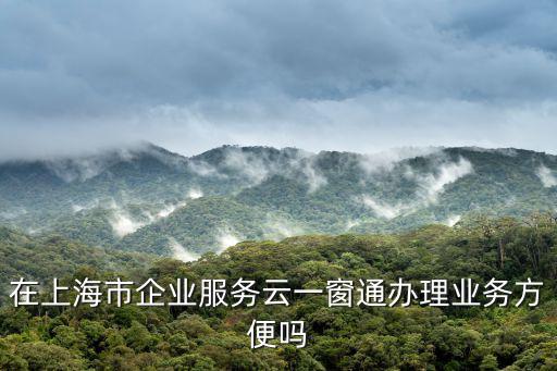 在上海市企業服務云一窗通辦理業務方便嗎