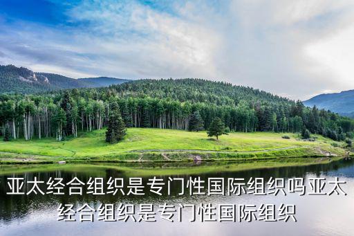 亞太經(jīng)合組織是專門性國際組織嗎亞太經(jīng)合組織是專門性國際組織