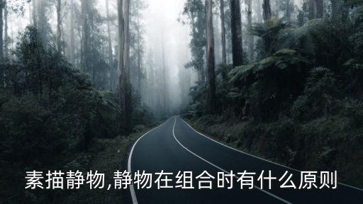 素描靜物,靜物在組合時有什么原則