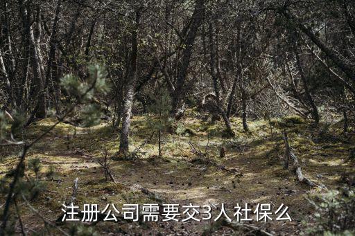 注冊公司需要交3人社保么