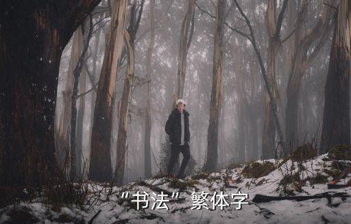 繁體書法,第四集:第一集（四）:背臨書寫習(xí)慣與書寫風(fēng)格