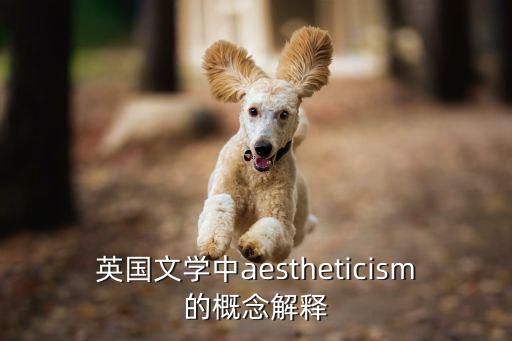 英國(guó)文學(xué)中aestheticism的概念解釋