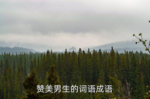 贊美男生的詞語(yǔ)成語(yǔ)