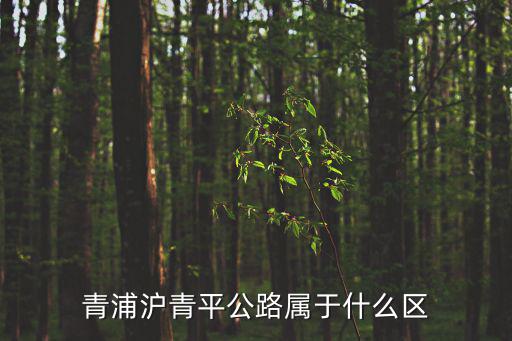 青浦滬青平公路屬于什么區(qū)