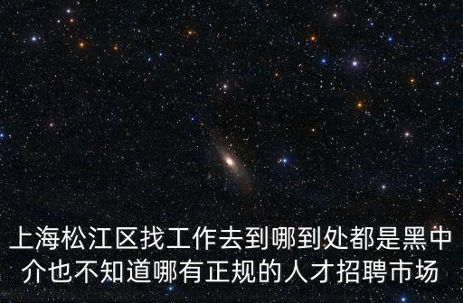 松江第一人才招聘網(wǎng)，上海松江區(qū)找工作去到哪到處都是黑中介也不知道哪有正規(guī)的人才招聘市場