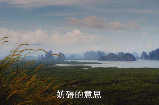 妨礙的意思