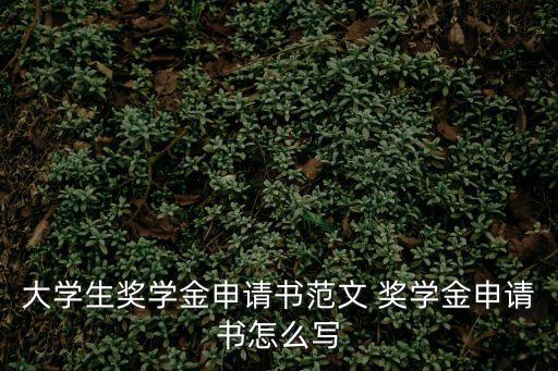 大學生獎學金申請書范文 獎學金申請書怎么寫