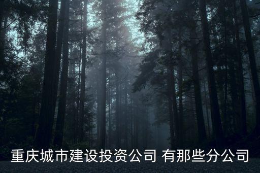 重慶市綜體建設，重慶市區內有沒有國營房地產公司
