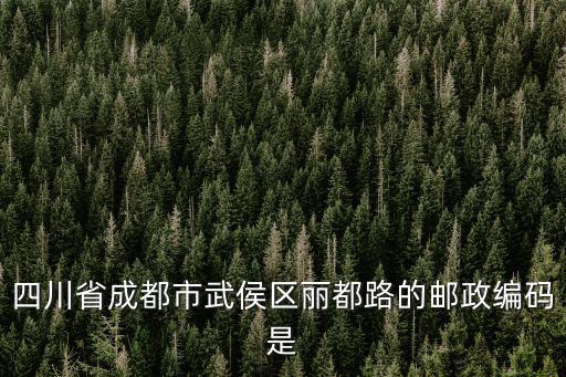 四川省成都市武侯區(qū)麗都路的郵政編碼是
