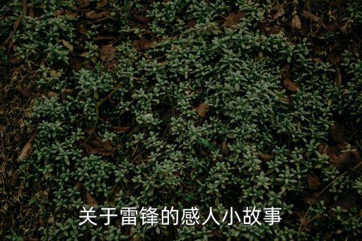 關(guān)于雷鋒的故事,從雷鋒身上學(xué)到雷鋒精神