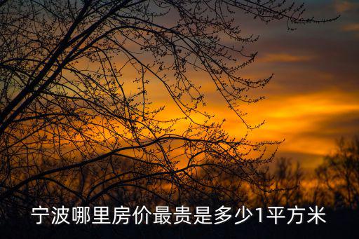 寧波哪個區(qū)域房價最高，寧波哪里房價最貴是多少1平方米