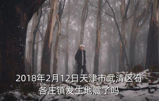 2018年2月12日天津市武清區石各莊鎮發生地震了嗎