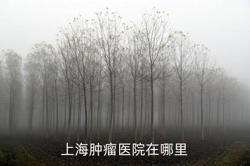 上海腫瘤醫院在哪里