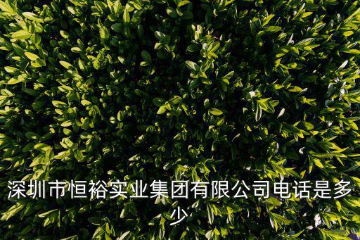 深圳市恒裕實業集團有限公司電話是多少