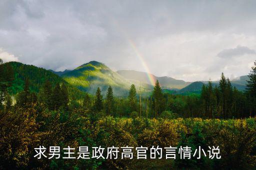 求男主是政府高官的言情小說