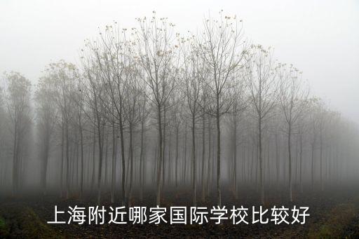 上海附近哪家國際學(xué)校比較好