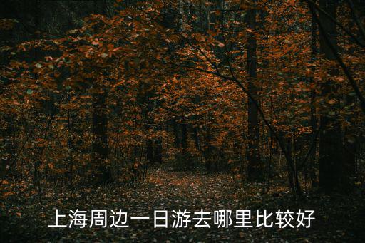 上海一日游有哪些地方，上海周邊一日游去哪里比較好
