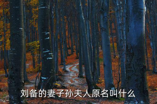 孫朗,《三國(guó)志》孫夫人真實(shí)姓名未記載