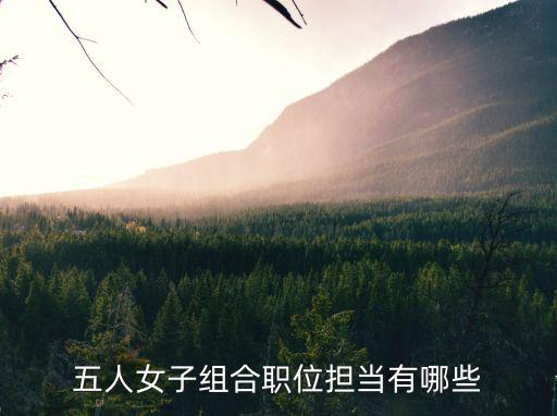 五人女子組合職位擔當有哪些