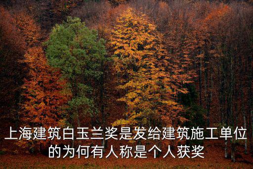 上海建筑白玉蘭獎是發給建筑施工單位的為何有人稱是個人獲獎