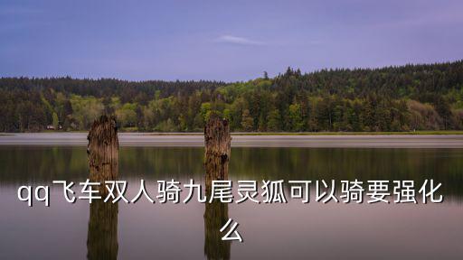 qq飛車(chē)雙人騎九尾靈狐可以騎要強(qiáng)化么