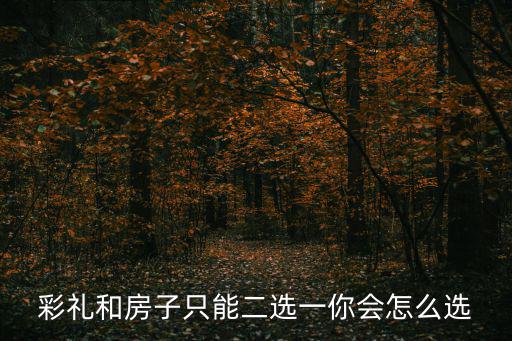 彩禮和房子只能二選一你會(huì)怎么選