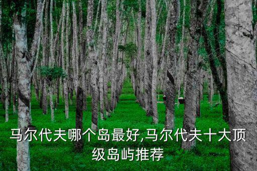 哈庫拉島,馬爾代夫哪個島最好?202個小珊瑚島有人居住