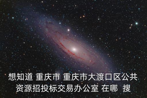 想知道 重慶市 重慶市大渡口區(qū)公共資源招投標(biāo)交易辦公室 在哪  搜